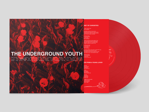 邦楽 TIN DRUM RECORDS UNDERGROUND ROMANCE LP The Used - In Love and Death | Smartpunk Exclusive – SMARTPUNK