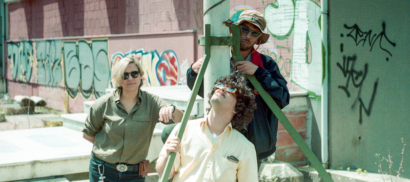 Out Now: Sunflowers - 'You Have Fallen... Congratulations!'