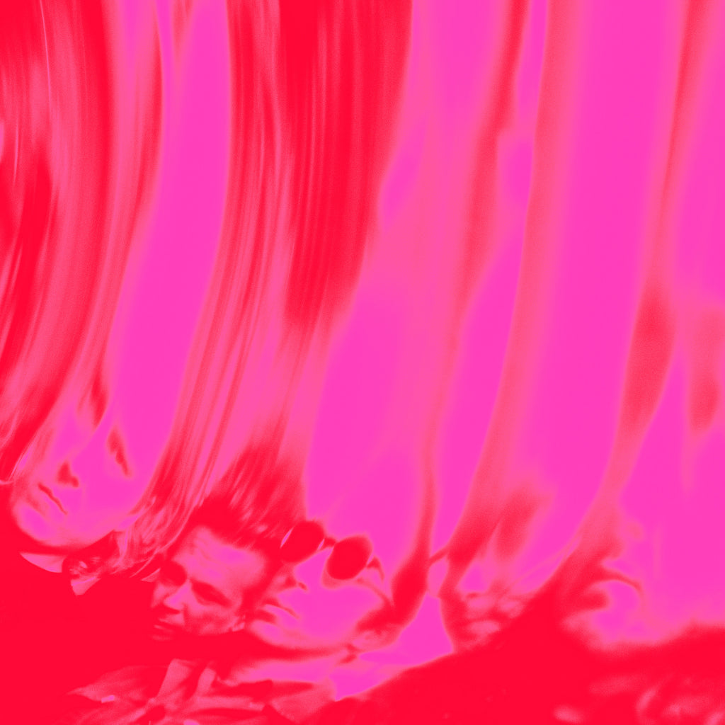 Pre-Order: Ty Segall - Love Fuzzz – Fuzz Club
