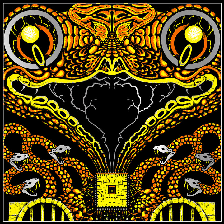 King Gizzard And The Lizard Wizard – Page 2 – Fuzz Club