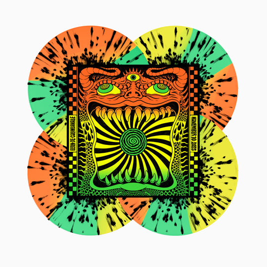 King Gizzard & The Lizard Wizard まとめ売り King Gizzard & The Lizard Wizard