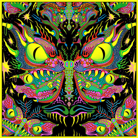 King Gizzard & The Lizard Wizard - Live In New Orleans '24 – Fuzz Club