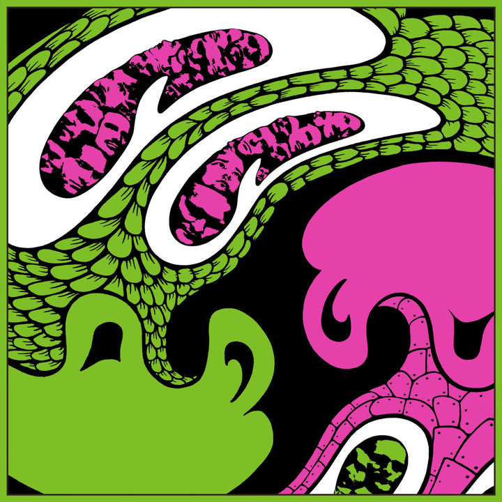 King Gizzard And The Lizard Wizard – Fuzz Club