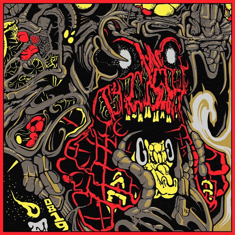 Pre-Order: King Gizzard And The Lizard Wizard - Live In Boston '24