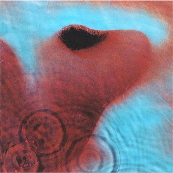 Pink Floyd / Meddle レコード Pink Floyd - Meddle – Fuzz Club