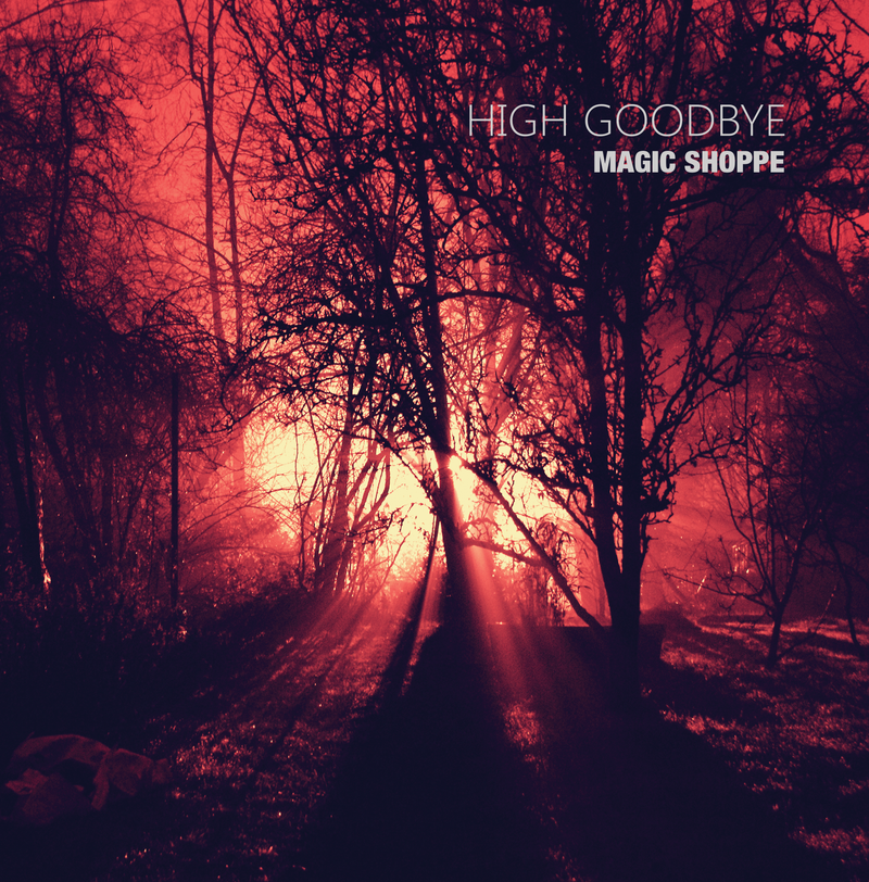 Magic Shoppe - High Goodbye,Vinyl,Little Cloud Records - Fuzz Club