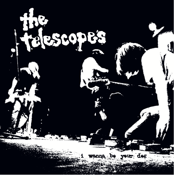 Split Single No 6 - A Place To Bury Strangers / The Telescopes,Vinyl,Fuzz Club - Fuzz Club