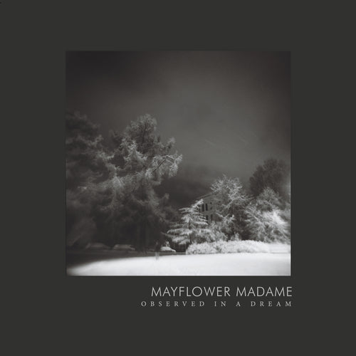 Mayflower Madame - Observed in a Dream,Vinyl,Night Cult Records - Fuzz Club