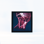 Tales of Murder and Dust - The Flow In Between - Vinyl,Vinyl,Fuzz Club - Fuzz Club